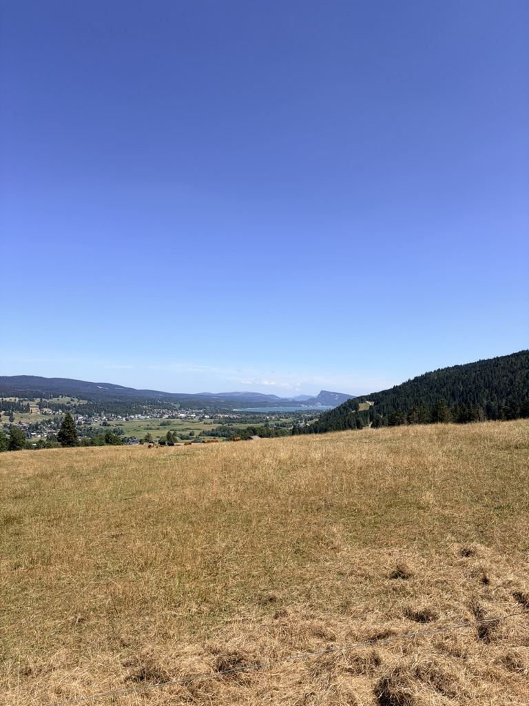 Pâturages en balcon au-dessus d'un lac de vallée